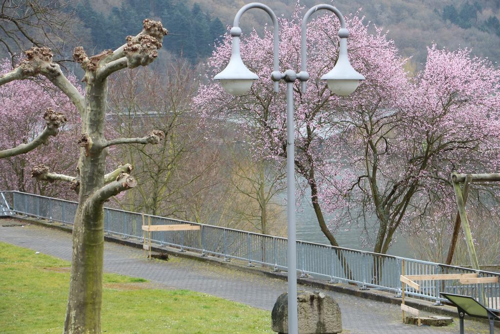 Haus Brandenburg An Der Mosel Apartment Zell an der Mosel