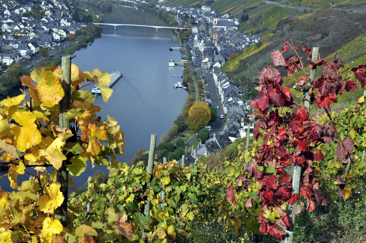 Haus Brandenburg An Der Mosel Apartment Zell an der Mosel