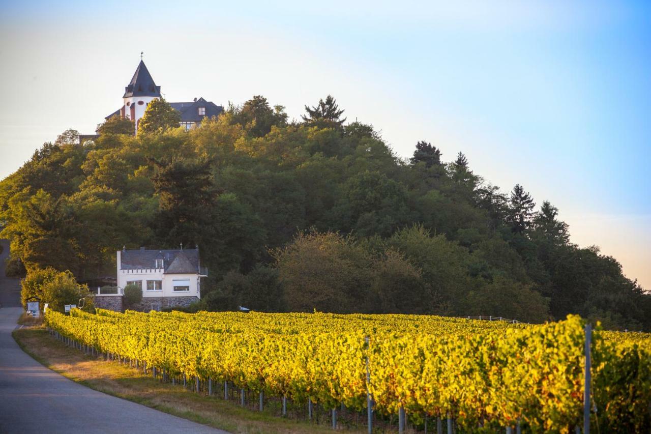 Haus Brandenburg An Der Mosel Zell an der Mosel